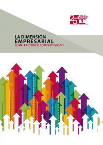 EstudioDimensionEmpresarial-1