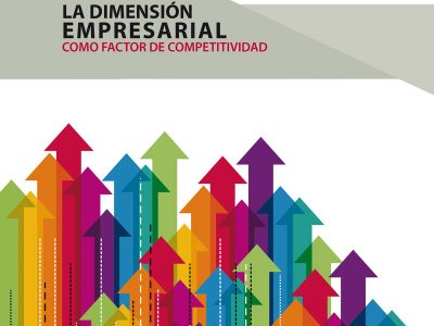 EstudioDimensionEmpresarial-1