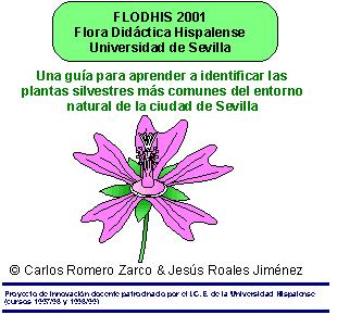 CD-Rom Flodhis
                  2001