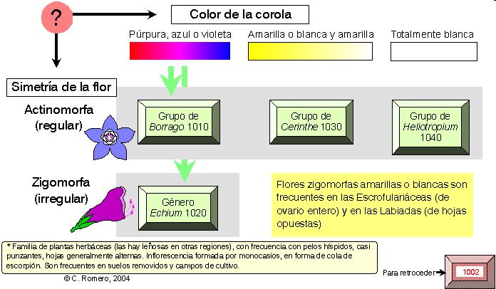 página 802