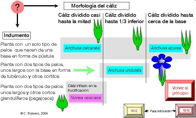 p&aacutegina 802