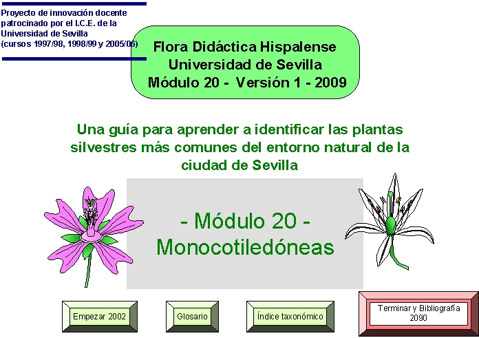 Imagen de portada del módulo 20