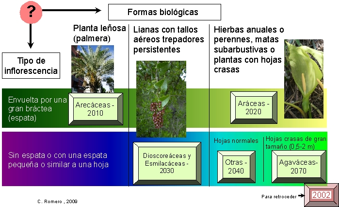 figura 2005