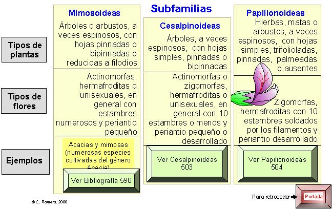 figura de la página 502