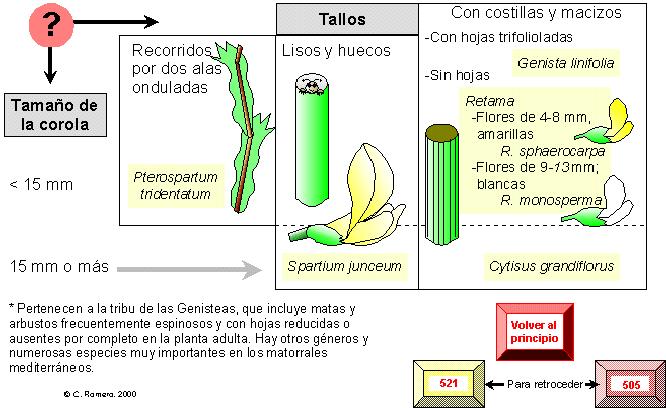 página 530