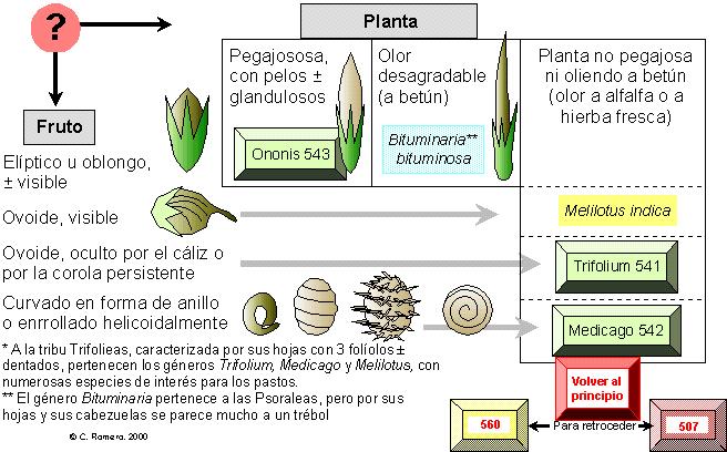 p&aacutegina 540