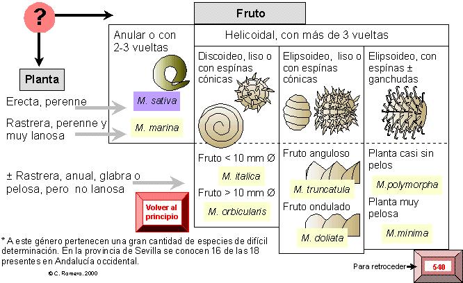 página 542