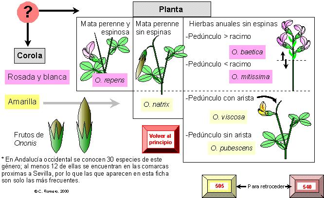 p&aacutegina 543