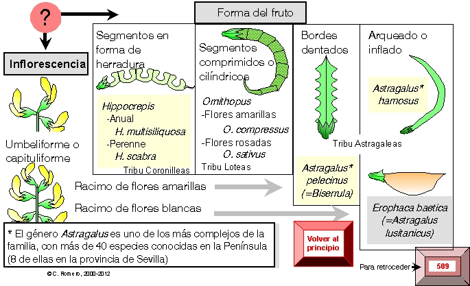 página 570