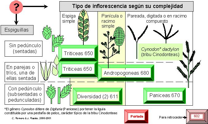 página 610