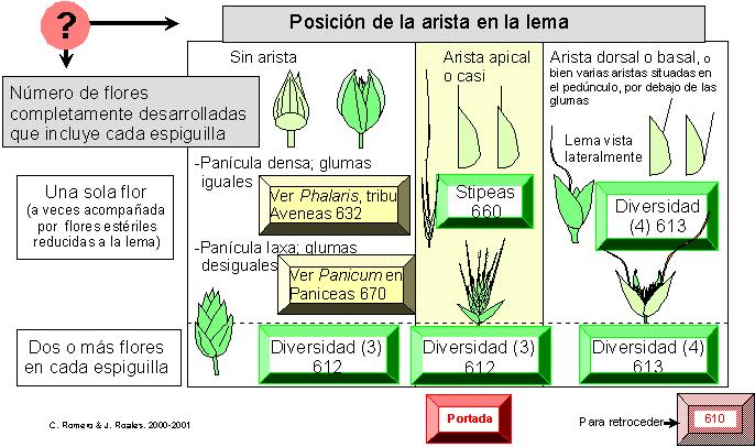 página 611