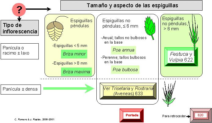 página 621