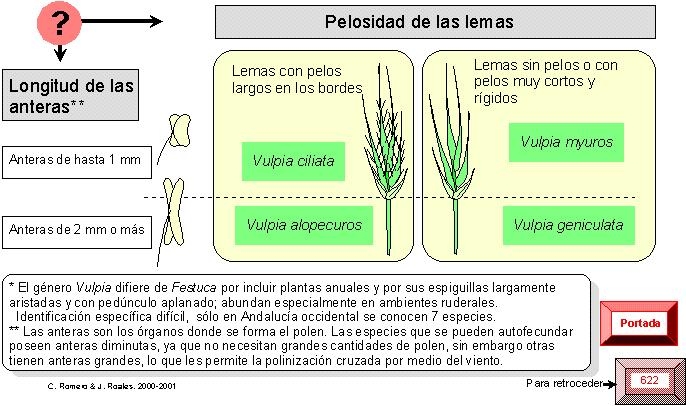 página 623