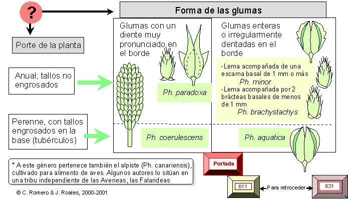 página 632