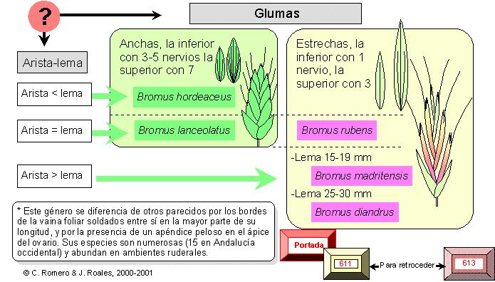 página 640