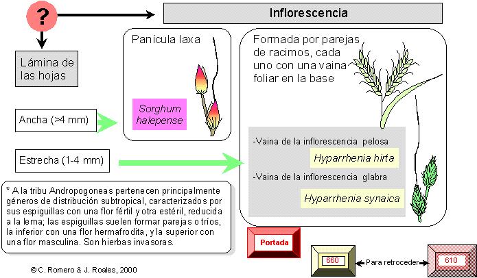 página 680