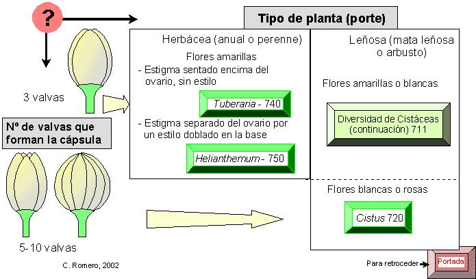 página 710