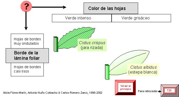 página 722