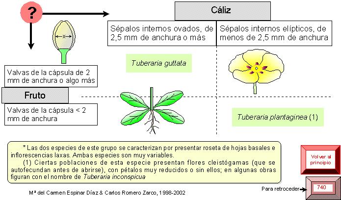 página 741