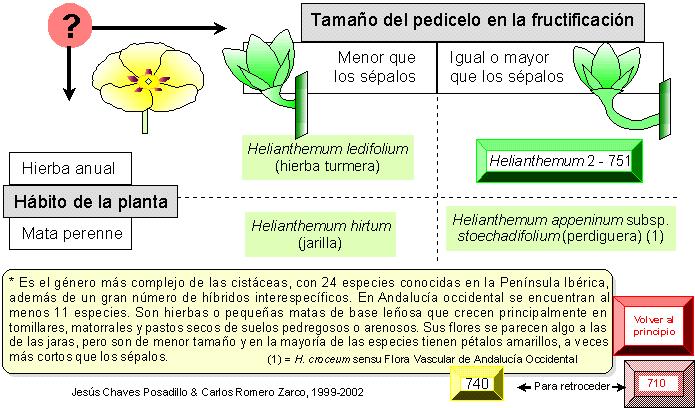 página 750