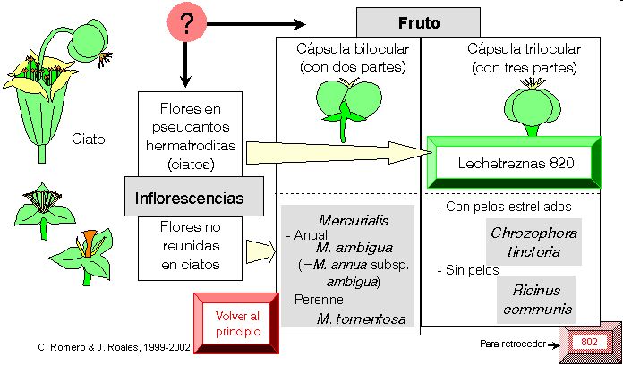 página 810