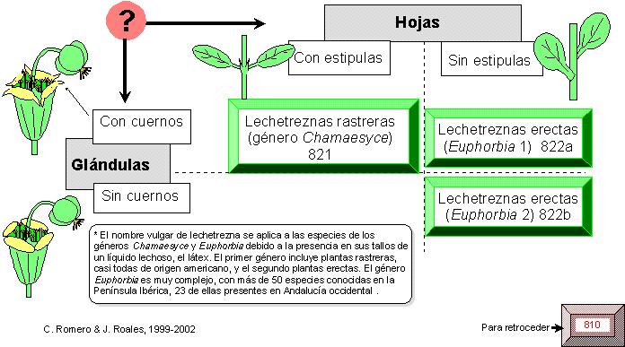 página 820