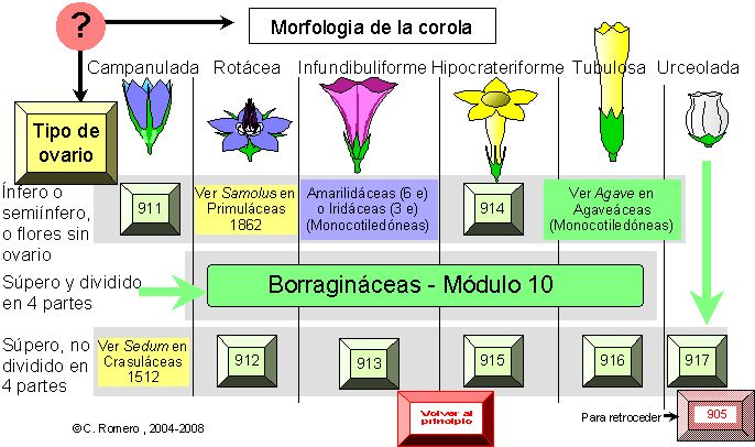 página 802