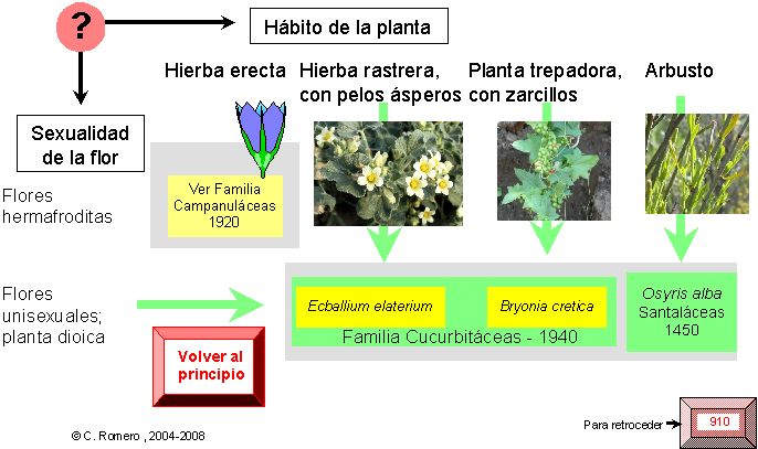 página 802