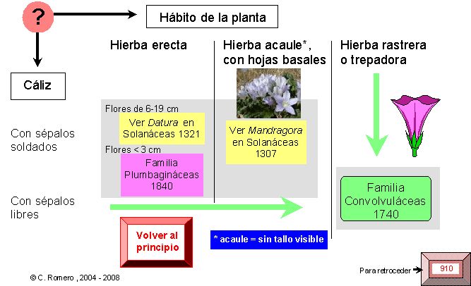 página 802