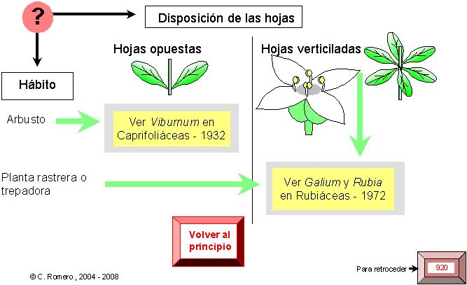 página 802