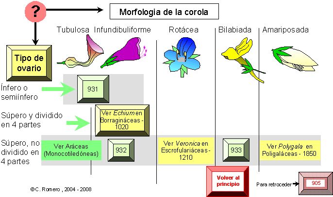 página 802