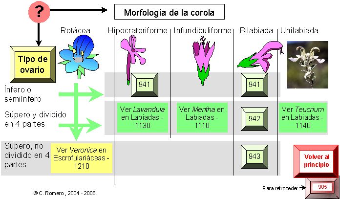 página 802